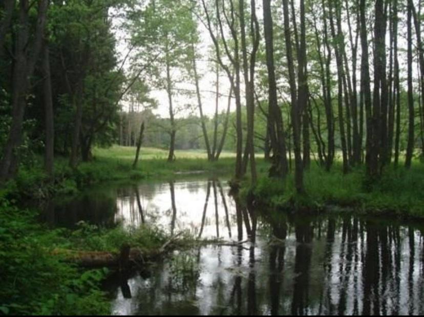 Domek Borsk Kültér fotó