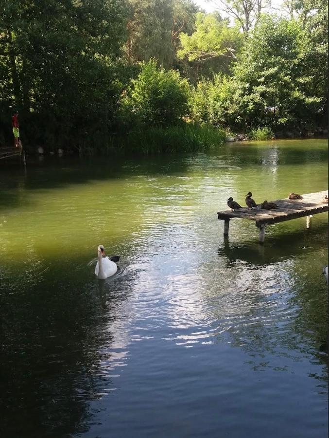 Domek Borsk Kültér fotó