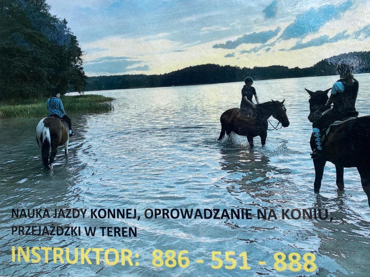 Domek Borsk Kültér fotó